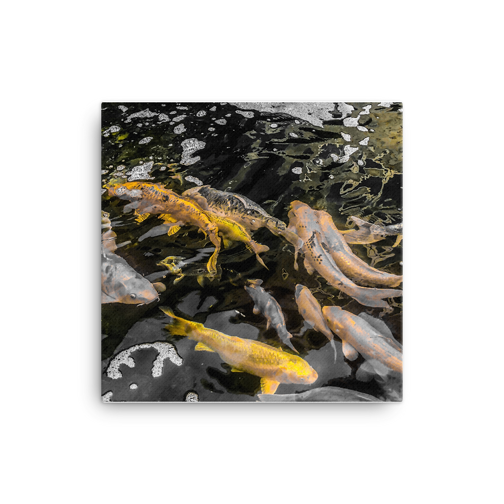 Thumbnail: MLM Canvas Koi Fish Photography Artwork