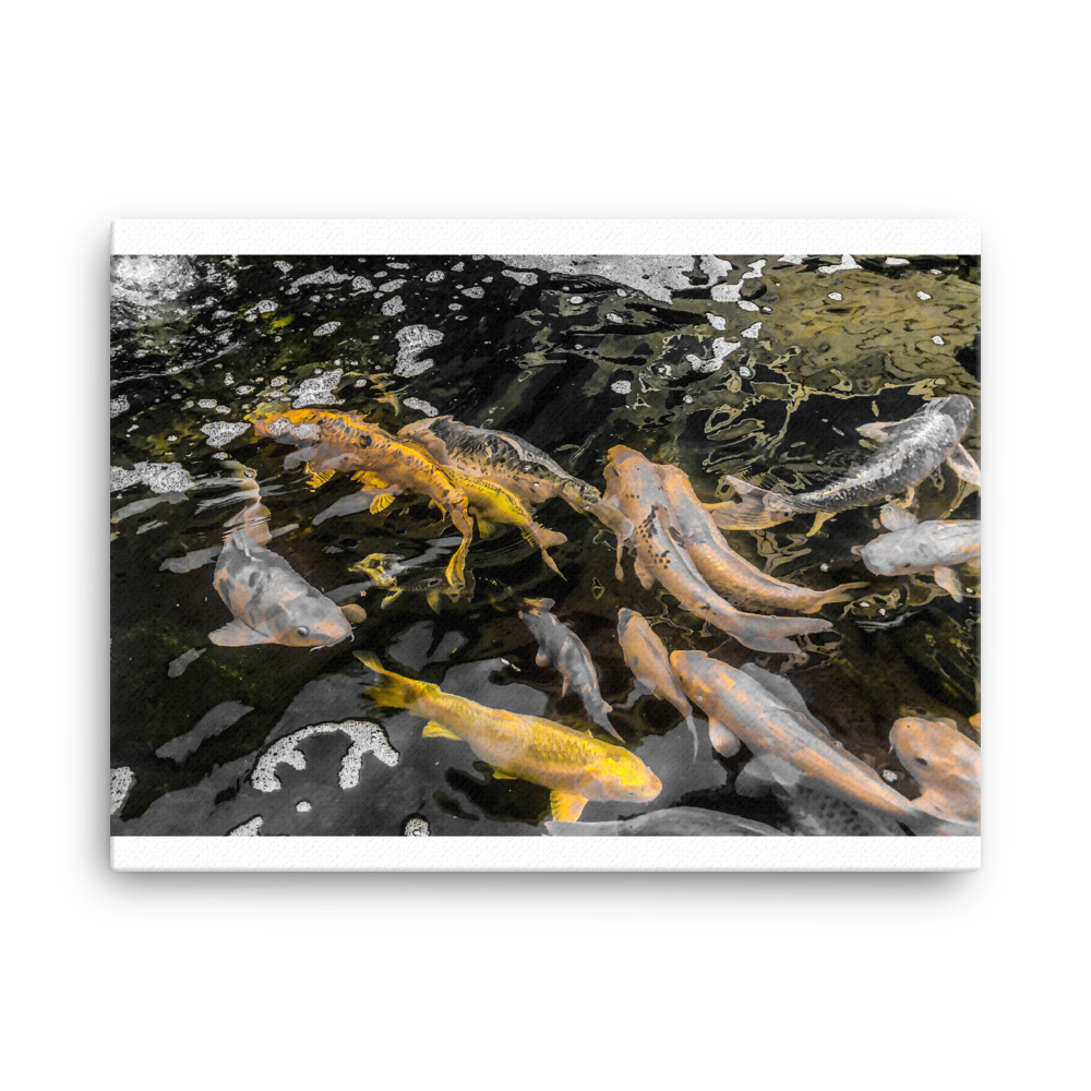 MLM Canvas Koi Fish Photography Artwork