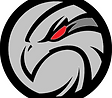 blackhawk%20screen%20shot_edited.png