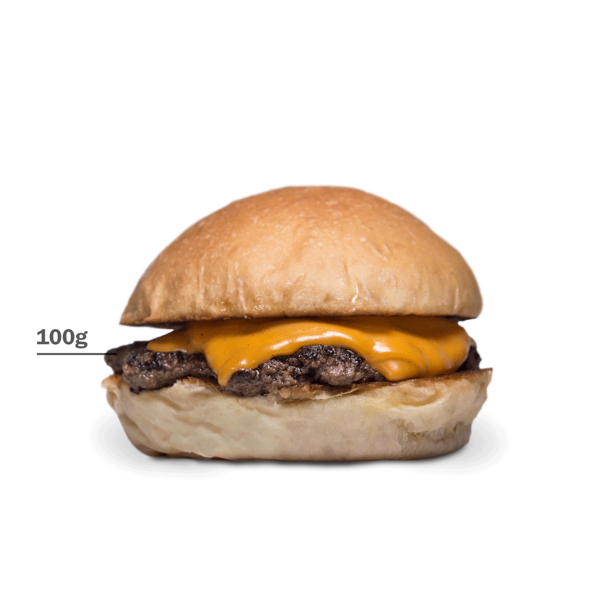 basicao_gif.gif
