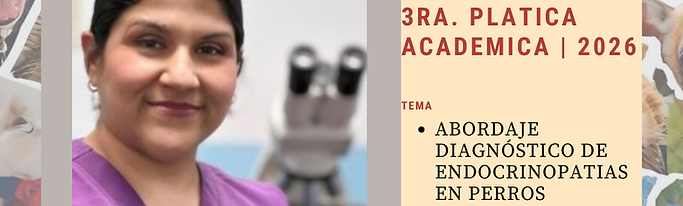 III Plática Académica 2026.png