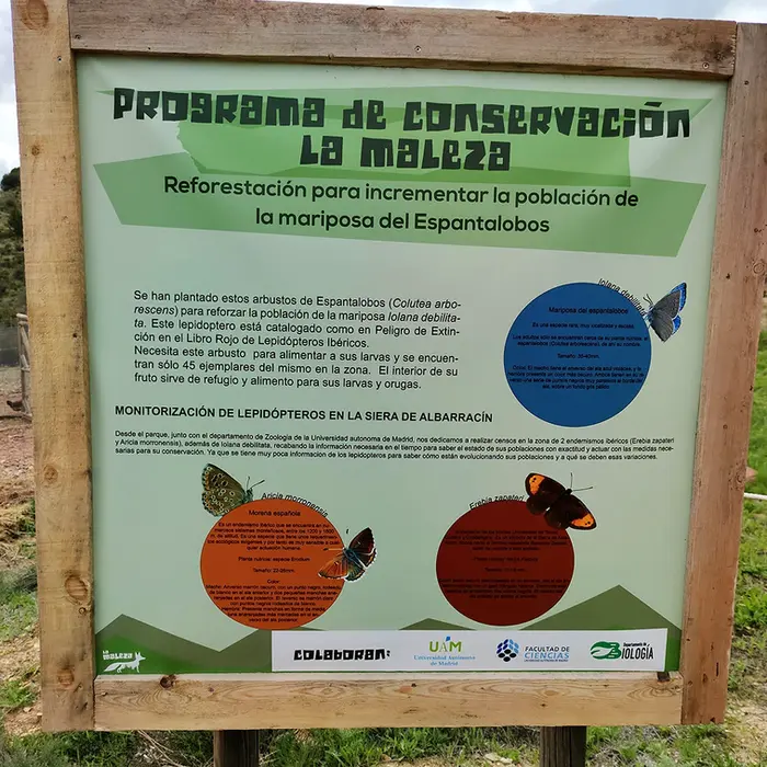 Cartel del proyecto de conservación de la mariposa espantalobos en el Parque de Fauna La Maleza en la Sierra de Albarracín