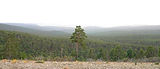 imagen_conservacion_panoramica_21x9_2048w_q82_edited_edited.jpg