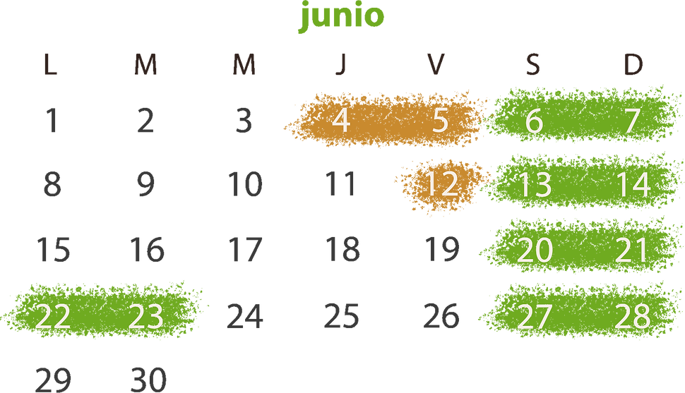 CALENDARIO WEB JUNIO 26.png