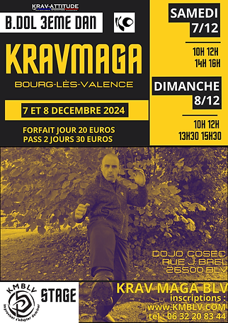 stage benoit DOL déc 2024.png