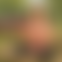 Being "self-centred" is a necessity!