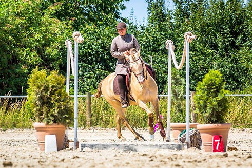 WhatsApp Image 2026-02-26 at 21.45.48 (1).jpeg