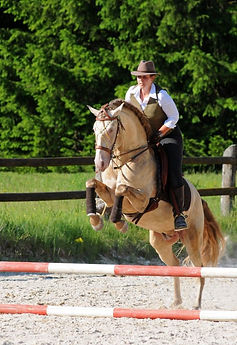 WhatsApp Image 2026-02-03 at 16.32.44 (1).jpeg