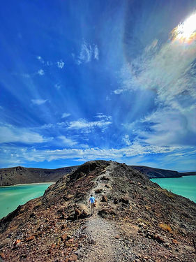 WhatsApp Image 2025-11-10 at 8.15.26 PM.jpeg