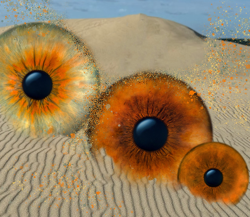 aWüste_version1 Kopie.jpg