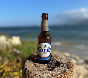 Carib bear.jpg