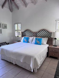 Guest Bedroom - King bed