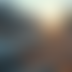 Roof Repair Solutions for Florida Homes