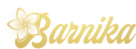 Barnika Text Only.png