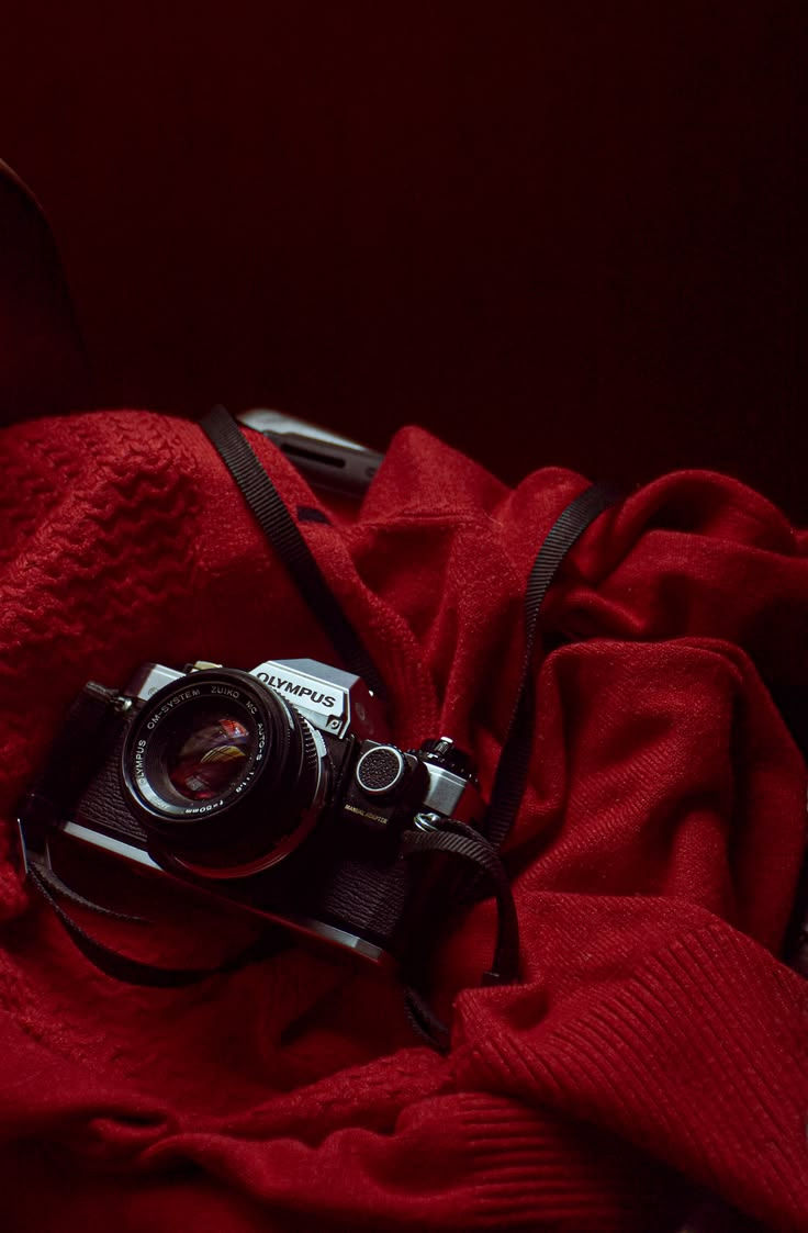 vintage camera olympus.jpeg
