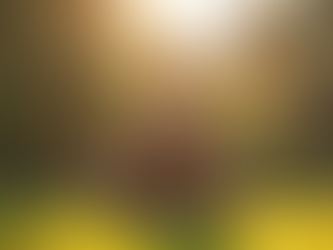 Tailored Workout Plans for Women in India: Women Fitness Routines for Every Goal