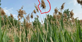 2025 Annual meeting high lights