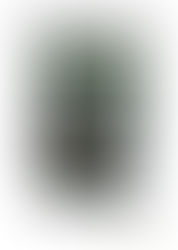 TALLER DE BORDADOS A MANO. INSCRIPCIONES UNIVERSIDAD POPULAR DE TALARRUBIAS, TELÉFONO: 924638011.