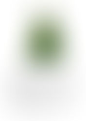 Bases del Concurso de Escaparates Navideño 2017.