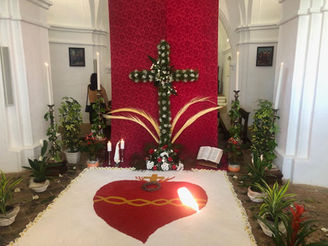 Galería fotográfica del Día de la Cruz 2019.