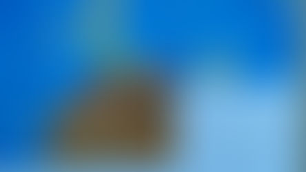 Gala literaria 'Día mundial del libro'.