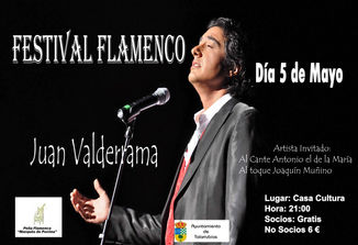 Festival Flamenco: Juan Valderrama.