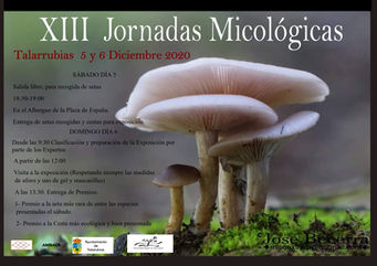 XIII JORNADAS MICOLÓGICAS.