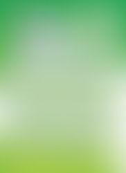 Resultados del C.D. Talarrubias durante el fin de semana.