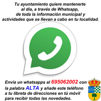 Whatsapp Municipal.