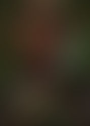 CINE: HAMNET. 21 Y 22 DE FEBRERO EN LA CASA DE LA CULTURA, A LAS 19:30H. ENTRADA 4€.