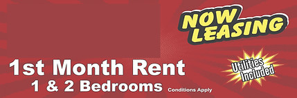 Now Leasing Sign 599$_edited.jpg