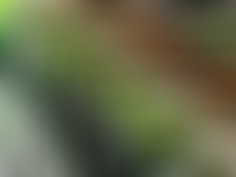 Biodinaminis šampanas – kokia jo populiarumo paslaptis? 