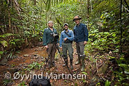 Birding tours Panama