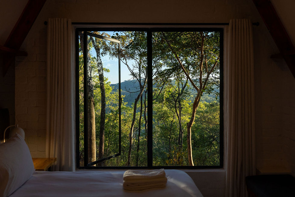 WILDOLOGY villa window view