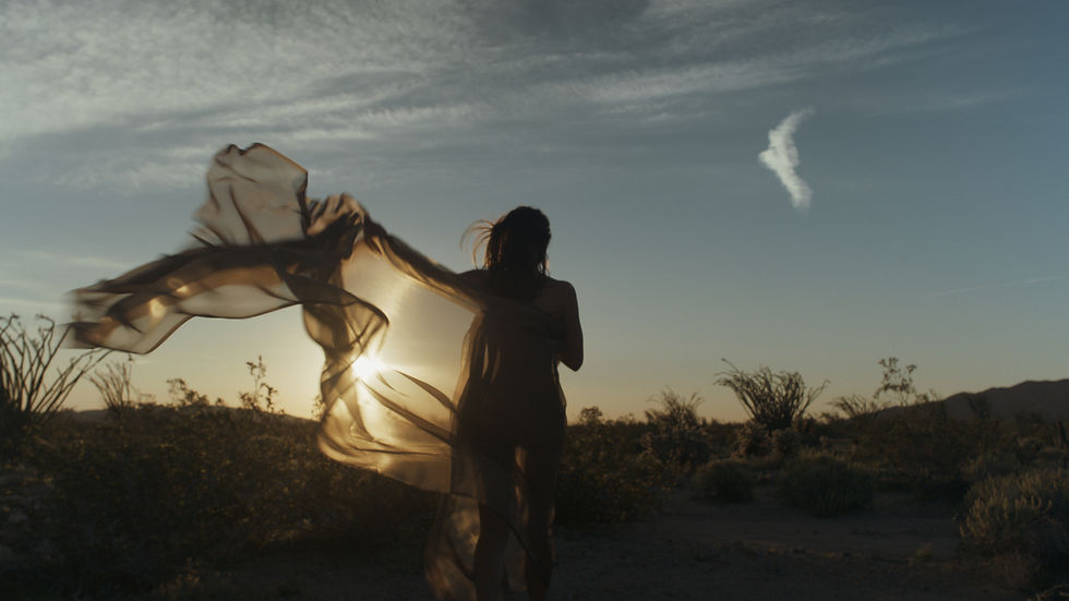 DeathtoStock_DesertSunrise-03.jpeg