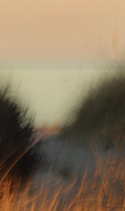 Betsey Crosby Thompson on Instagram_ _Spaciousness “We move from constriction to expansion