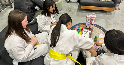Velocity Taekwondo after school program