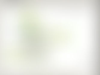 Screenshot der twist Webseite aus dem Jahr 2000