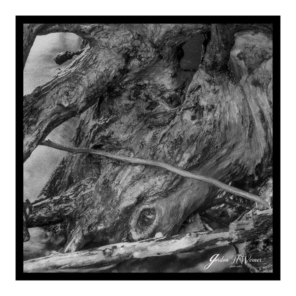 Lake Superior Scp matted