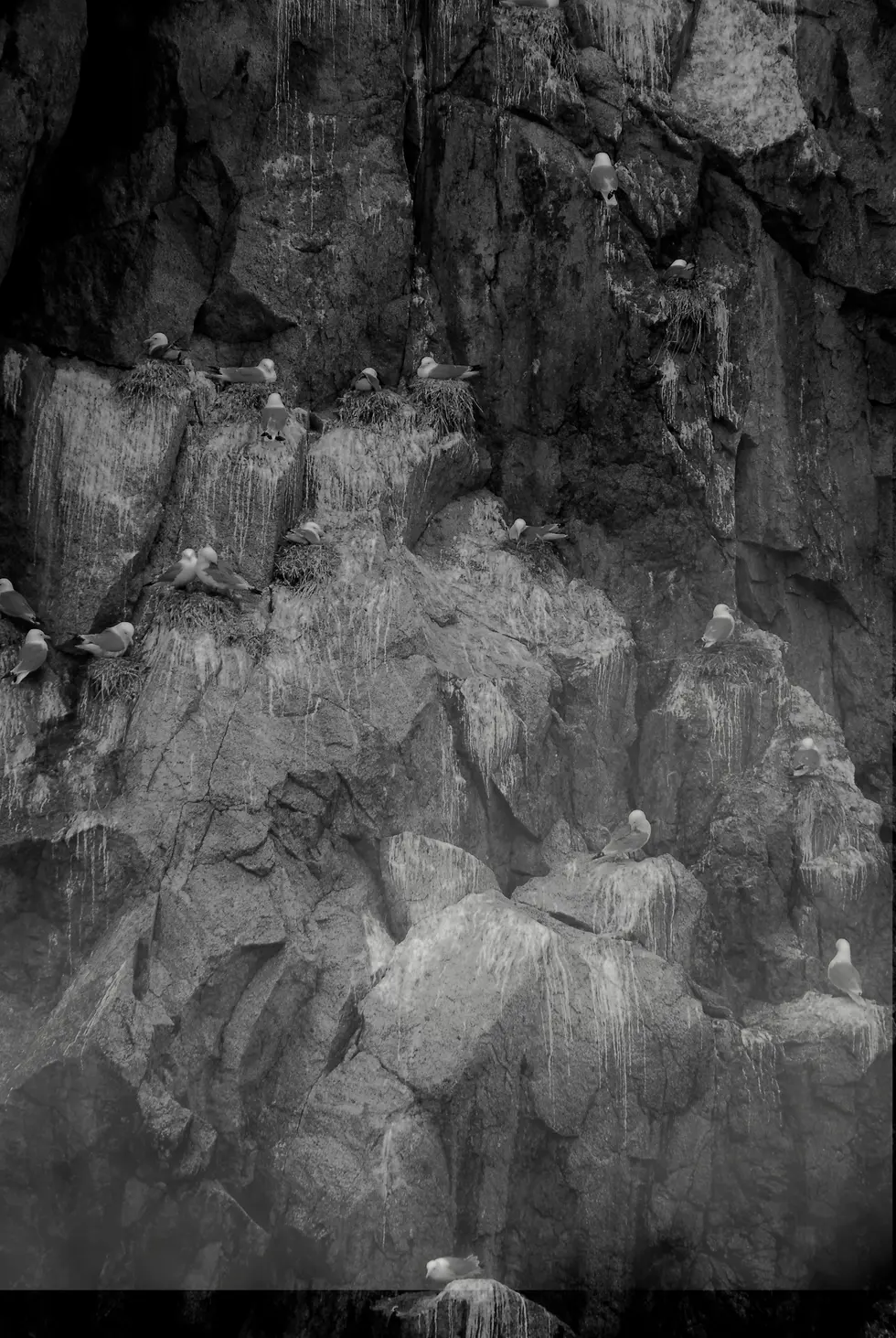 Alaska Cave Dwellers