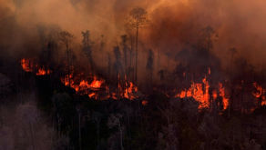 Nestapa Bencana Karhutla 