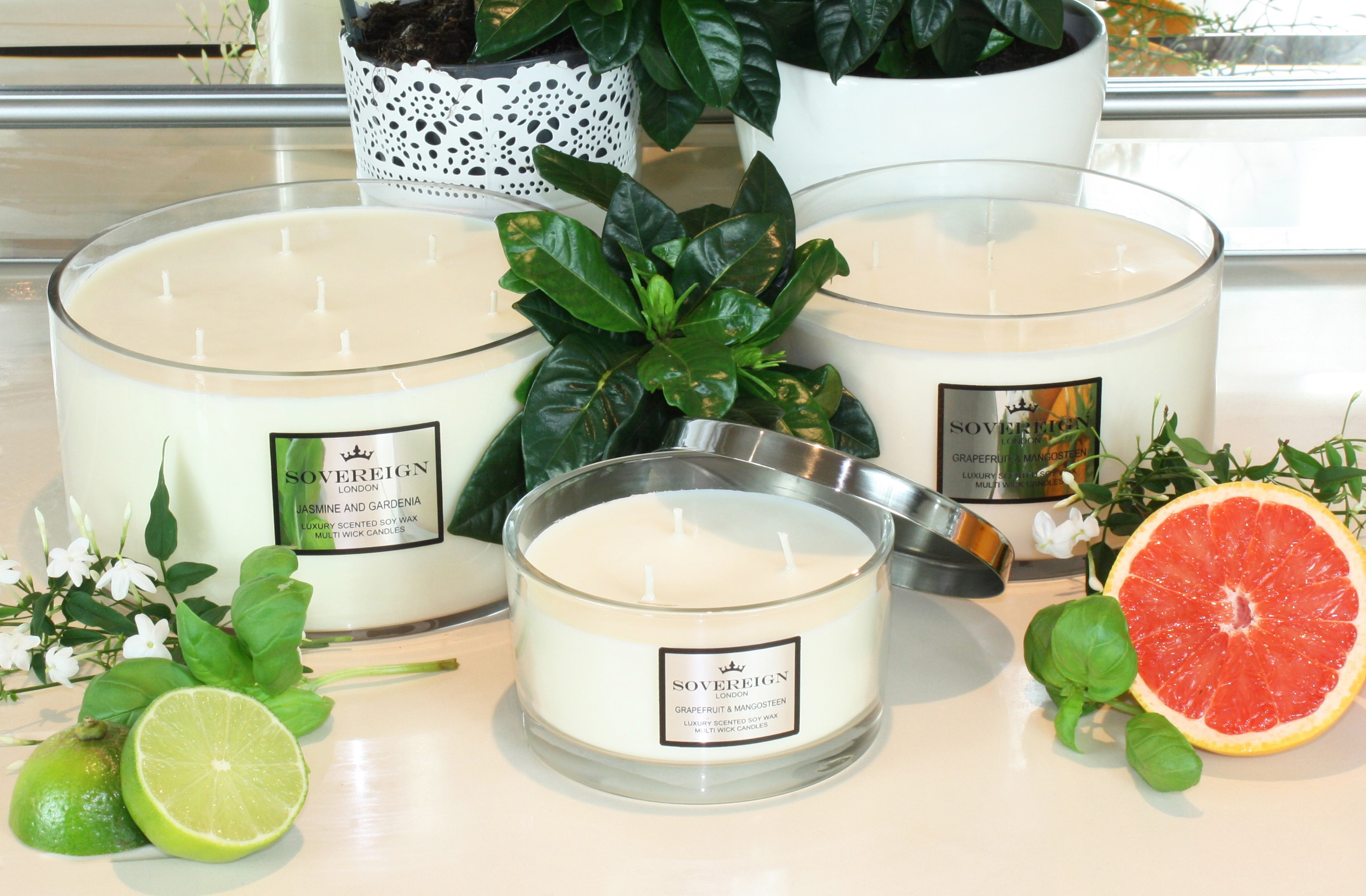 Sovereign vegan candles