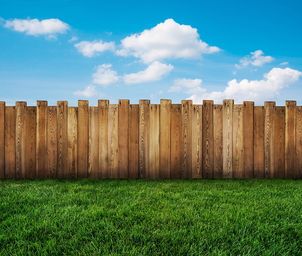 blue sky with clouds and sunny green fresh cut grass and a wooden fence boards are vertical with every other one a few inches taller
