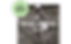 8 Nature Guardian Elite Image.png