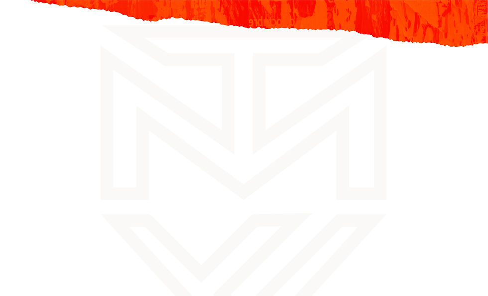 TMF Partners_Donate Webpage-03.jpg