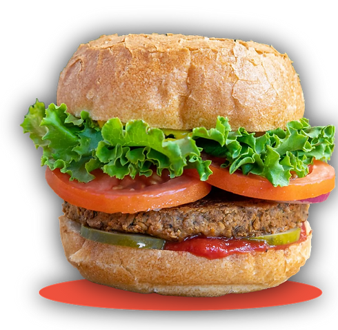 Evolution Burger