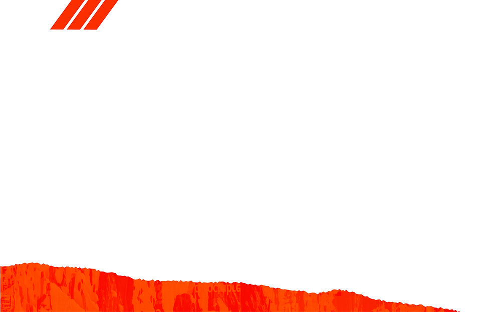 TMF Programs Webpage-03.jpg