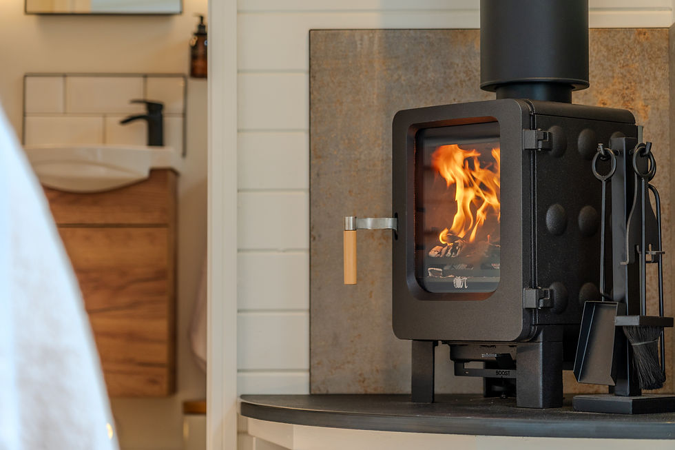 Log burning fire