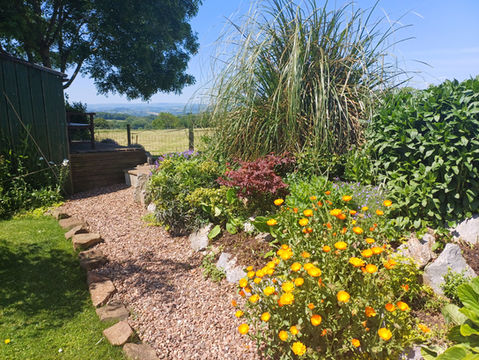 Garden rockery and blooming plants