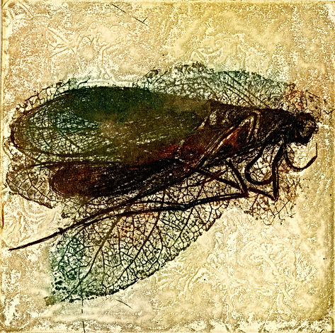 insecto en ámbar.jpg